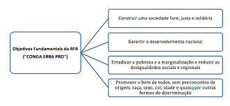 Baixe aqui a constituição federal e entenda, sem complicação, o que ela é. Principios Fundamentais Tudo Que Voce Precisa Saber