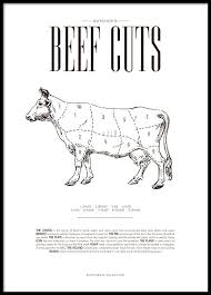 Beef Chart Poster