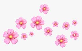 Cherry Blossom Clipart Crown Pink Flower Emoji Transparent Background Hd Png Download Kindpng A traditional symbol in japan, where the flower is called sakura and celebrated in annual viewings. cherry blossom clipart crown pink