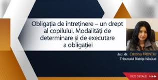 Recomandări privind aspectul exterior al solicitantului la fotografierea pentru actele de identitate. ObligaÈ›ia De IntreÈ›inere Un Drept Al Copilului ModalitÄƒÈ›i De Determinare È™i De Executare A ObligaÈ›iei De Gabriela Cristina FrenÈ›iu Lege5 Ro