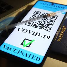 Keep in mind that airlines are responsible for ensuring passengers have the correct. Vaccine Passports Look Inevitable So What Rights Do New Zealanders Have New Zealand The Guardian