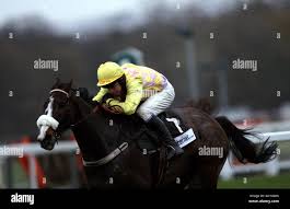 Erics charm hi-res stock photography and images