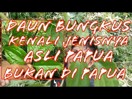 We did not find results for: Daun Bungkus Papua Bro Mau Ubah Ukuran Otongmu Yuk Kenali Dulu Jenisnya Youtube