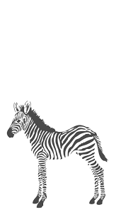 If the black and white combination seems to serious, you can. Photo Wallpaper Kids 357217 Animal Zebra White Black