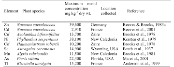 Image result for Crepidorhopalon tenuis