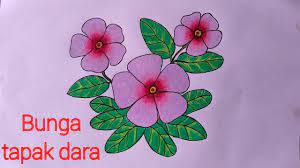 Bunga kpr adalah salah satu hal yang patut dipertimbangkan ketika hendak membeli rumah dengan cara dicicil. Cara Menggambar Bunga Yang Mudah Dan Bagus Menggambar Bunga Tapak Dara Youtube