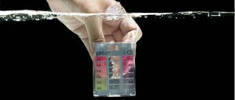 The pH Balance of Wellness: Investigating the Link Between Alkaline Water and Inflammation