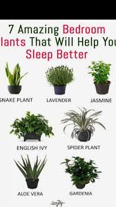 Pin By Cooper Hendershott On Plants Pinterest Plants Indoor Plants And Cool Plants Pin By Cooper Hendershott On Pl Plants Household Plants Indoor Plants