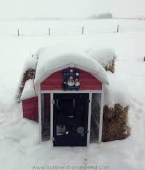 Chickens don't like the winter. Keeping Chickens In Serious Winter Northern Homestead