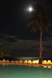 Diani Beach Mombasa Kenya An Amazing Evening