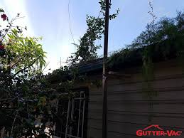 A Photo Taken By Norm From Gutter Vac Illawarra For Gutter Cleaning In Helensburgh Bulli Wollongong Port Kembla Figtree Gutter Vac Gutter Cleaning Gutters