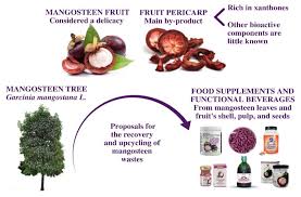 Image result for Garcinia mangostana