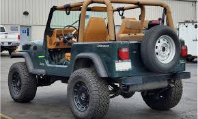 Image result for Apple Green 1994 Reliant