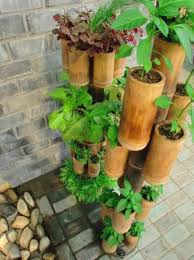 Maybe you would like to learn more about one of these? 15 The Most Creative Planters Made Out Of Bamboo