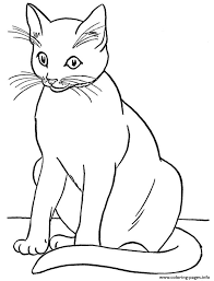 Kumpulan gambar kucing lucu untuk diwarnai kucing merupakan jenis hewan mamalia yang memakan daging dan yang termasuk dalam golongan ini merupakan seekor kucing yang sudah dijinakan. Realistic Kitten Cat Coloring Pages Novocom Top