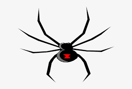 Black widow movie cut file. Black Widow Clipart Colorful Black Widow Spider Logo Transparent Png 600x478 Free Download On Nicepng