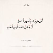 له حاجب كالنون فوق جفونه عنترة بن شداد اقتباسات العيون الغزل شعر عنترة بن شداد عالم الأدب Arabic Quotes Arabic Math Math Equations Arabic Calligraphy