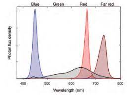 Purple Vs Pink Vs White Led Fixtures Greenhouse Product News
