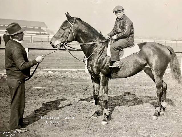 Conformation disaster: Doesn't look like he's going to amount to  anything….oops! That's Seabiscuit as a 2yo!! (they said he had baseball  mitts for knees) : r/Equestrian