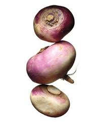 Be sure to pick turnips before temperatures get into the 80s to avoid bolting. 9 Tunips Ideas Turnip Turnip Recipes Csa Recipes