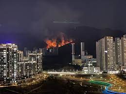 산림당국에 따르면 화재 발생 후 . Iuq Nnxicxktkm