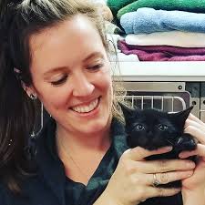 VCA Brookline Animal Hospital • Fresh Chalk