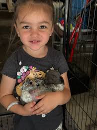 enjoying puppies at home with family