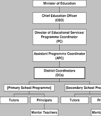 Macro Organizational Structure Of The Ojt Pre Service