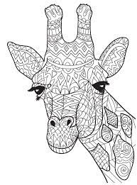 Most of adults like to color in this cute animal so we have provided printable giraffe coloring pages for free download for adults. 99 Giraffe Coloring Pages Ideas Giraffe Giraffe Coloring Pages Giraffe Tattoos