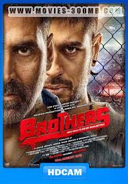 Brothers 2015 Hindi Camrip 700mbmovies 300mb Brothers Movie 2015 Movies Movie Releases Chinese with english subtitle cast : pinterest