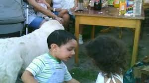 Turkey fryer, icdn, a turkey, daxil olunan. Mxtube Net Rajce Leto Children Mp4 3gp Video Mp3 Download Unlimited Videos Download