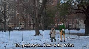 I have seen dogs like this that are never able to get alone. 34 Elf Quotes That Never Get Old Elf Quotes Christmas Quotes Funny Christmas Movie Quotes
