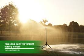 We did not find results for: How Should I Water My Garden This Summer Augusta Green Sprinklers Inc