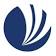 The Country Vintner, Inc. logo