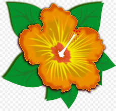 We did not find results for: Hibiscus Flower Png Download 1280 1202 Free Transparent Flower Png Download Cleanpng Kisspng