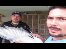 Mario Conley's Instagram, Twitter & Facebook