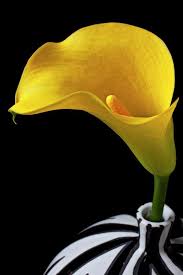 Black And Yellow Flowers Pin By Gail Williams On Black And Yellow Black And White Vase Black And White Yellow Flowers