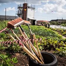 Oestergro Eine Stadtische Bauernhoflandschaft Die In Danemark Hergestellt Wird Hof Landschaften Urbane Landwirtschaft Stadtisch