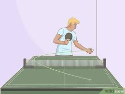 Table tennis at the olympics: How To Play Ping Pong Table Tennis With Pictures Wikihow