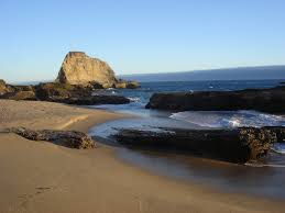 Maybe you would like to learn more about one of these? Panther Beach Travel Guidebook Must Visit Attractions In Santa Cruz County Panther Beach Nearby Recommendation Trip Com