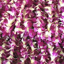 Orchid Lei Single Purple Bulk Price Orchid Lei Purple Orchids Orchid Flower