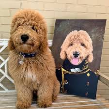 Whether it's an affordable digital file or phone case featuring your dog art, or a fabulous gallery style pet portrait canvas, our range of products are the ideal gift idea for the dog lover in. This Company Can Turn A Pet Into A Royal Portrait And Here Are 30 Of The Best Ones Bored Panda