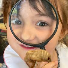 St. Luke's Episcopal School