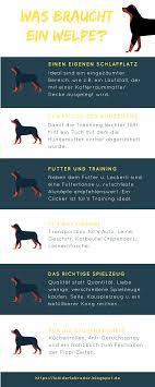 erstausstattung infografik labrador welpeinfografik erstausstattung welpe labrador yavru kopek infografik yorum