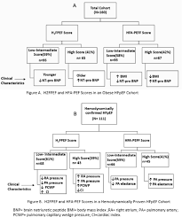 Image result for H2FPEF Score