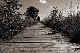 Erscht waare sie heecher un schpaeder katzer. Wege Gedankenbausteine