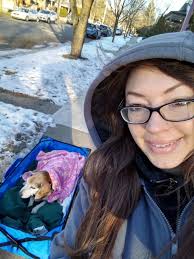 Pet dog lost to cancer at almost 12 years old