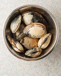 Maybe you would like to learn more about one of these? How To Clean Horse Clams Gaper Clams Or Horseneck Clams
