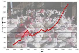 Give Thanks Science Supersized Your Turkey Dinner Wired