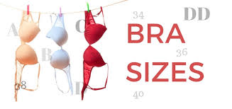 Bra Sizes List Of Bra Sizes Smallest To Largest Bra Sizes